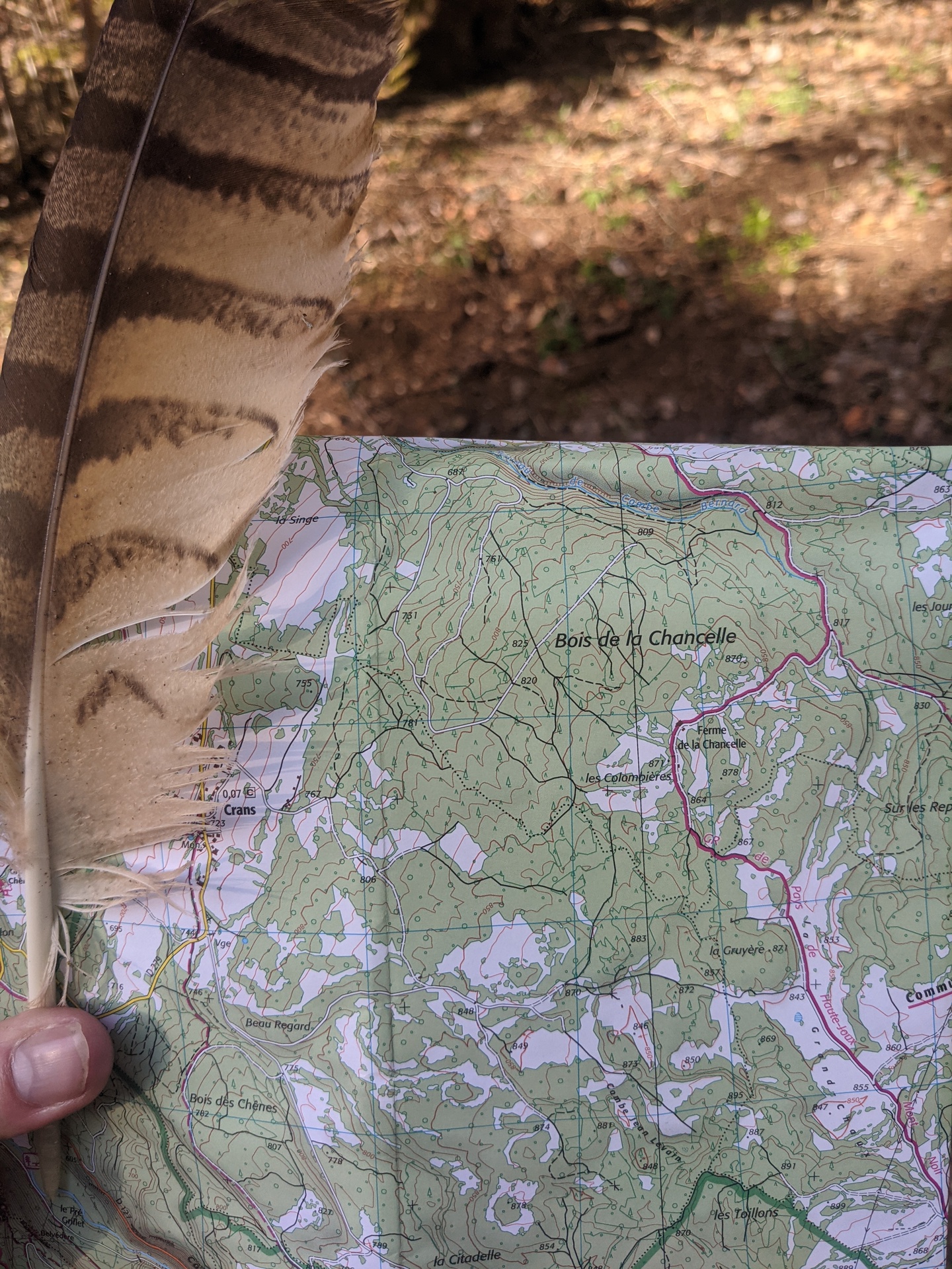 Une carte topographique des environs avec une plume.