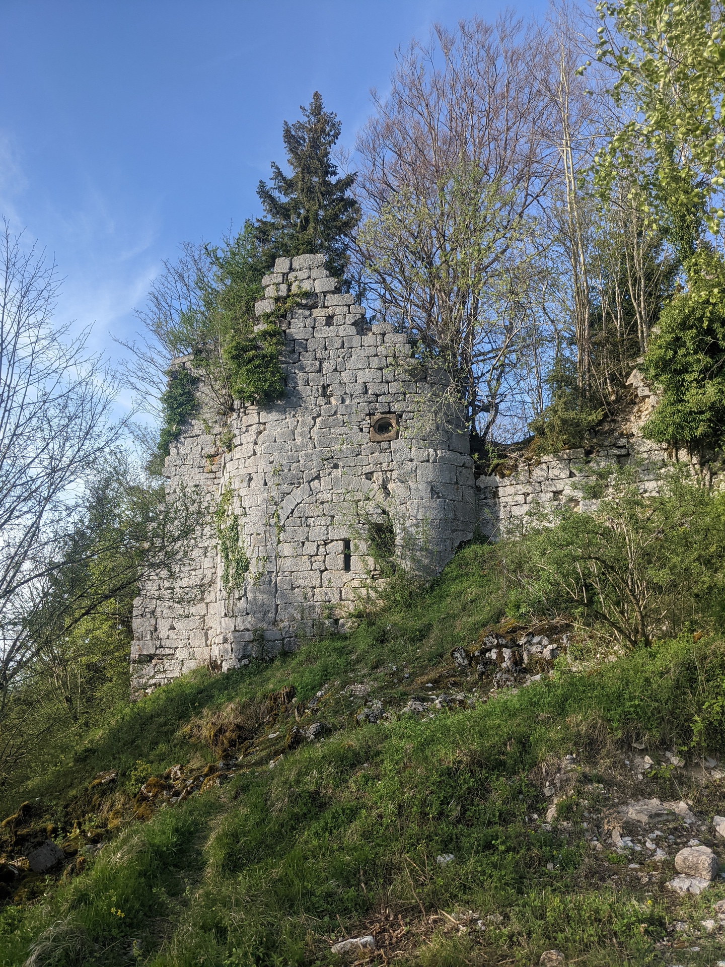 Un morceau de mur en ruine d'un chateau entourée d*arbres et d'herbe