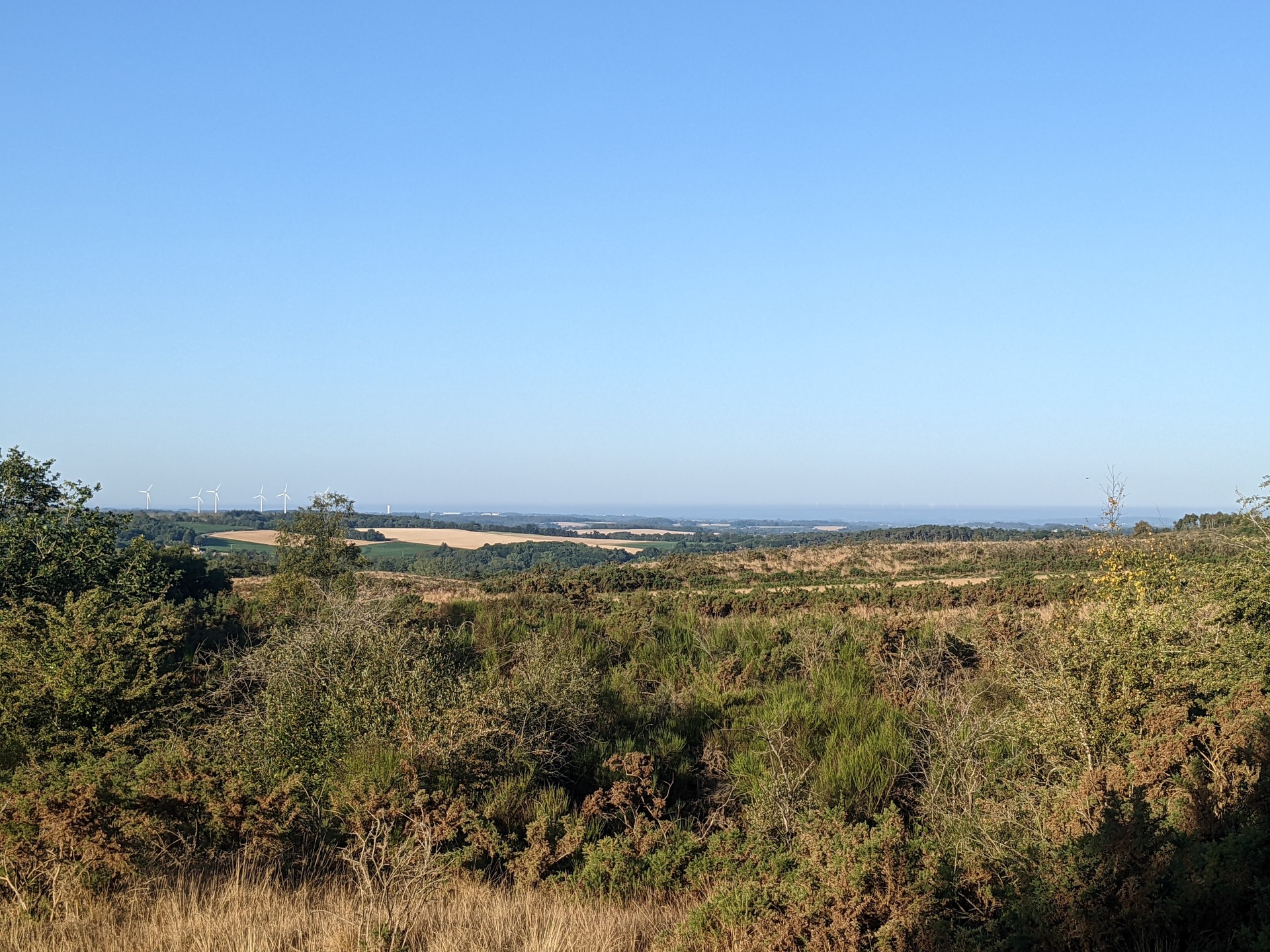 Une vue large de l'horison lointaine. Des arbres et des herbes seches au premier plan, des eoliennes au loin, des champs et bosquets a perte de vue.
